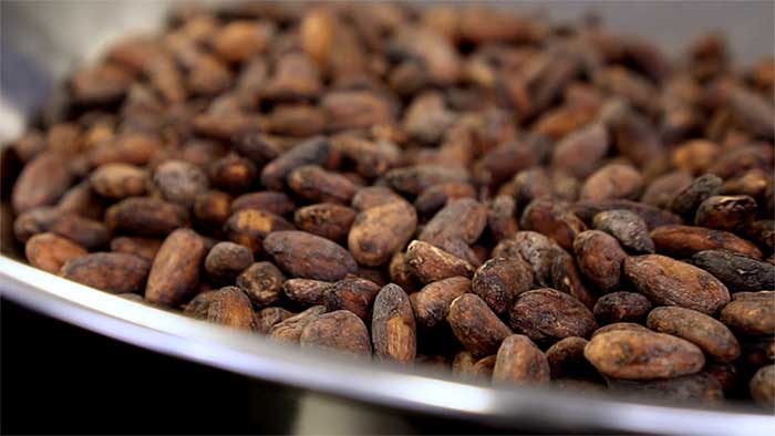 tostatrice Roaster 106