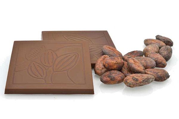 cursos de procesamiento Bean to Bar con máquinas Selmi 