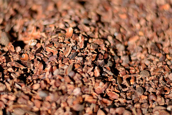 Courses for bean to bar processing using Selmi machinery