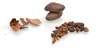 the decortication process of the cocoa bean