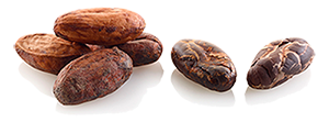 The roasting of the cocoa beans
