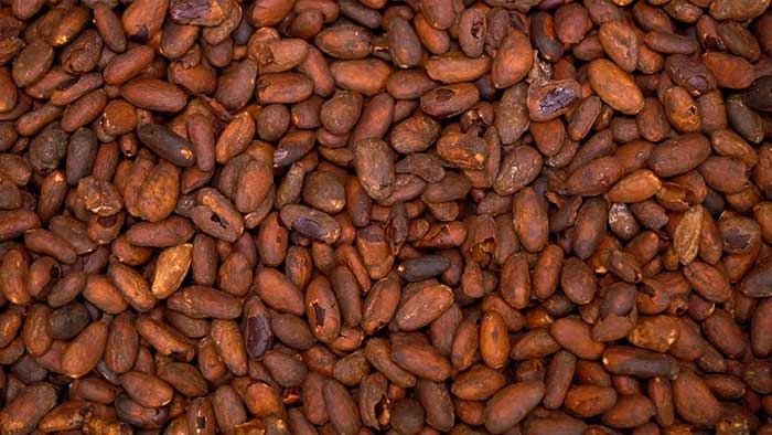 Watch the video about the roaster 120