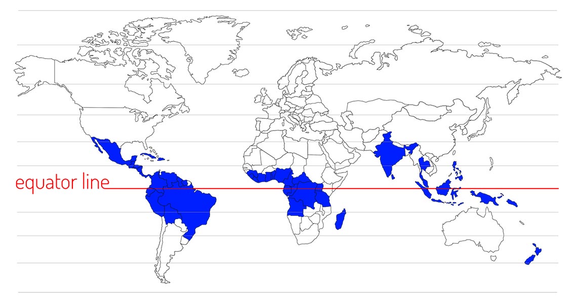 Cocoa producing countries